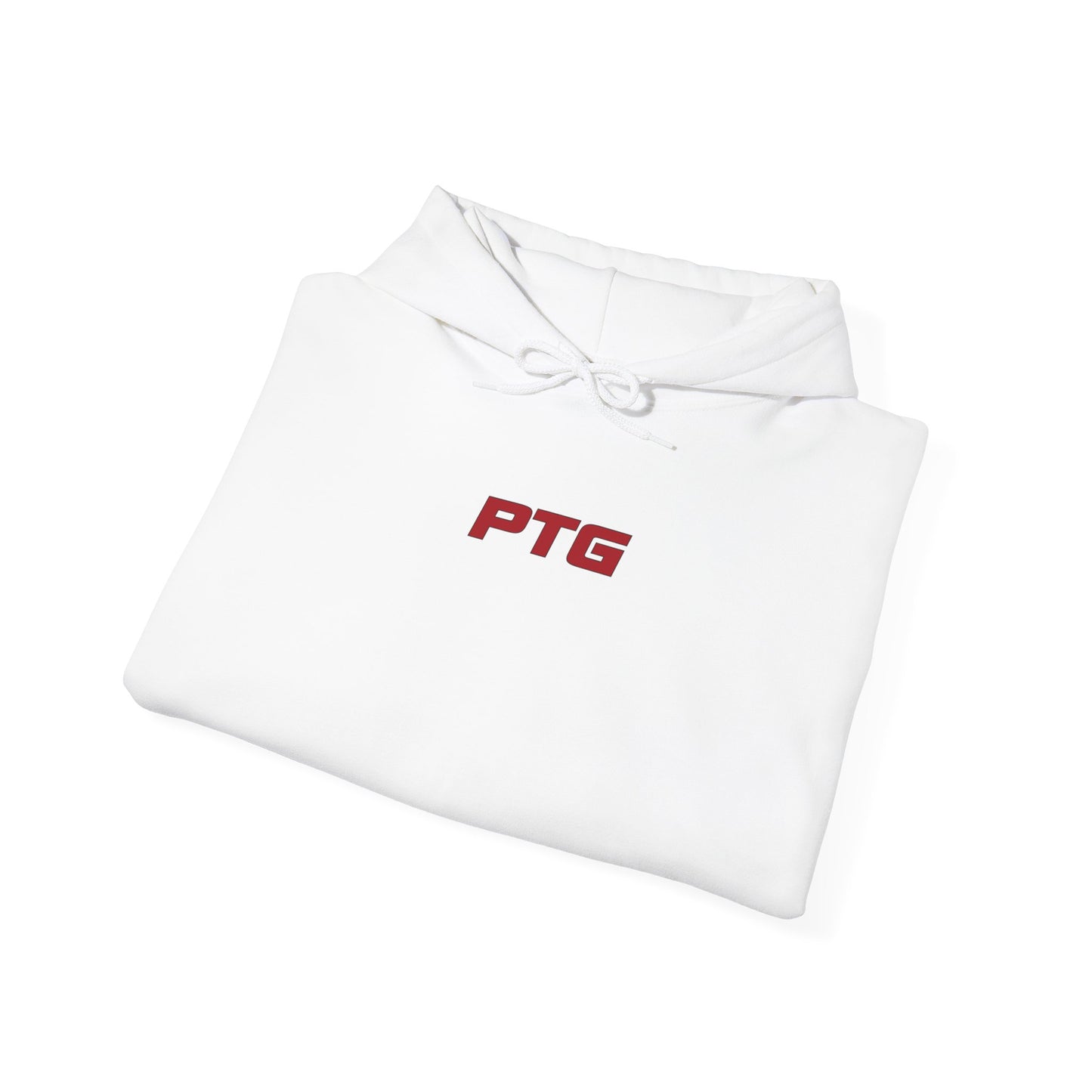 Team PTG E46 Hoodie