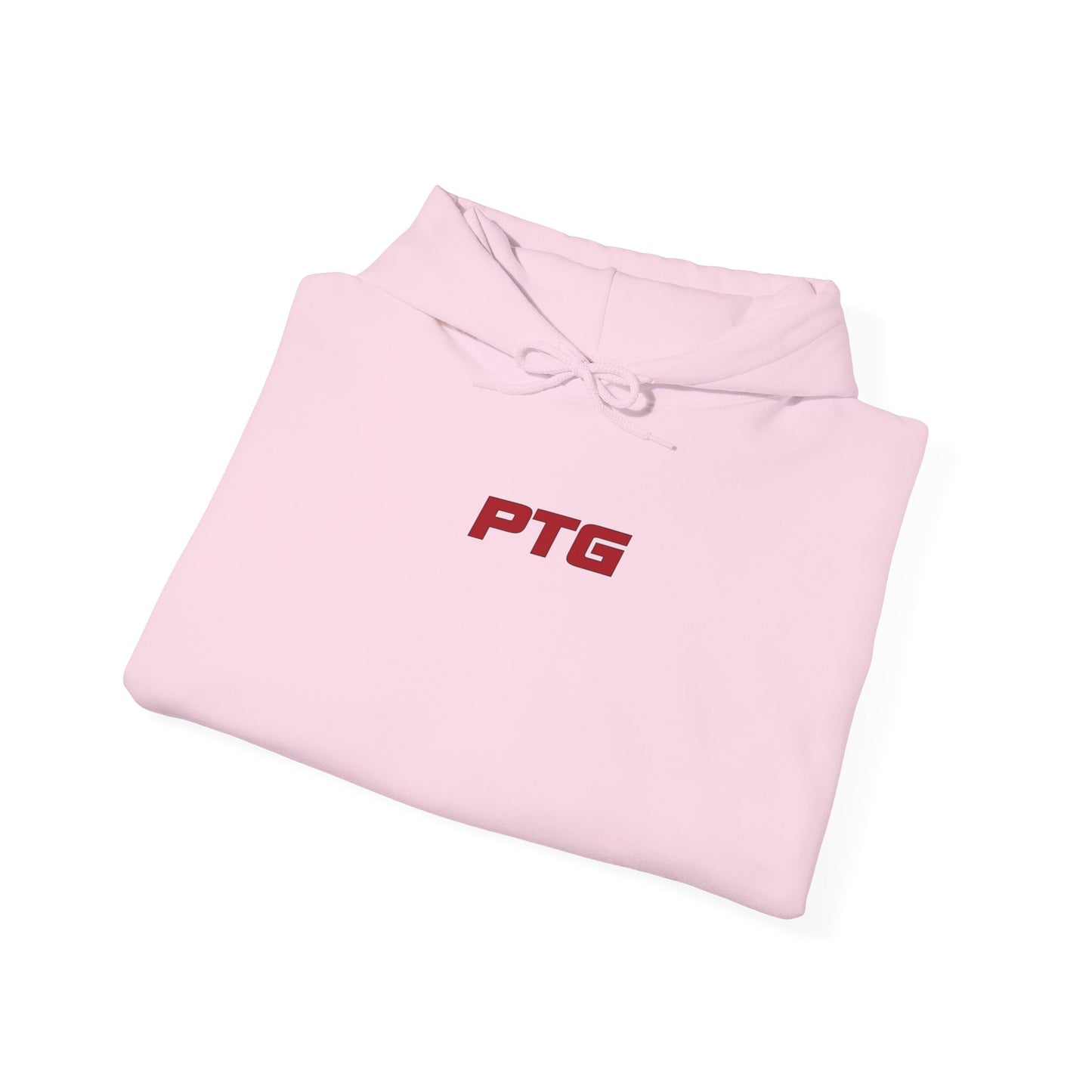 Team PTG E36 Hoodie