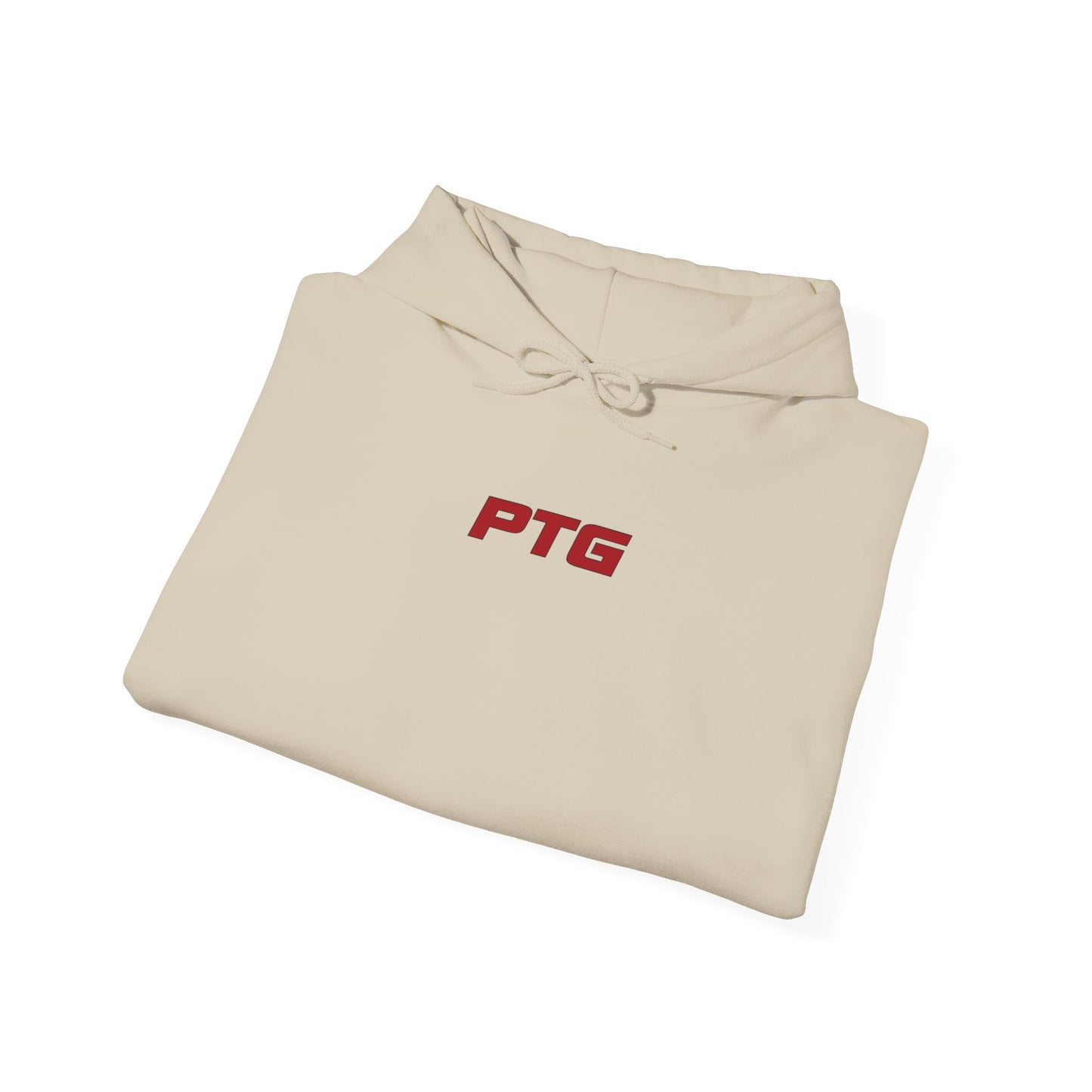 Team PTG E46 Hoodie