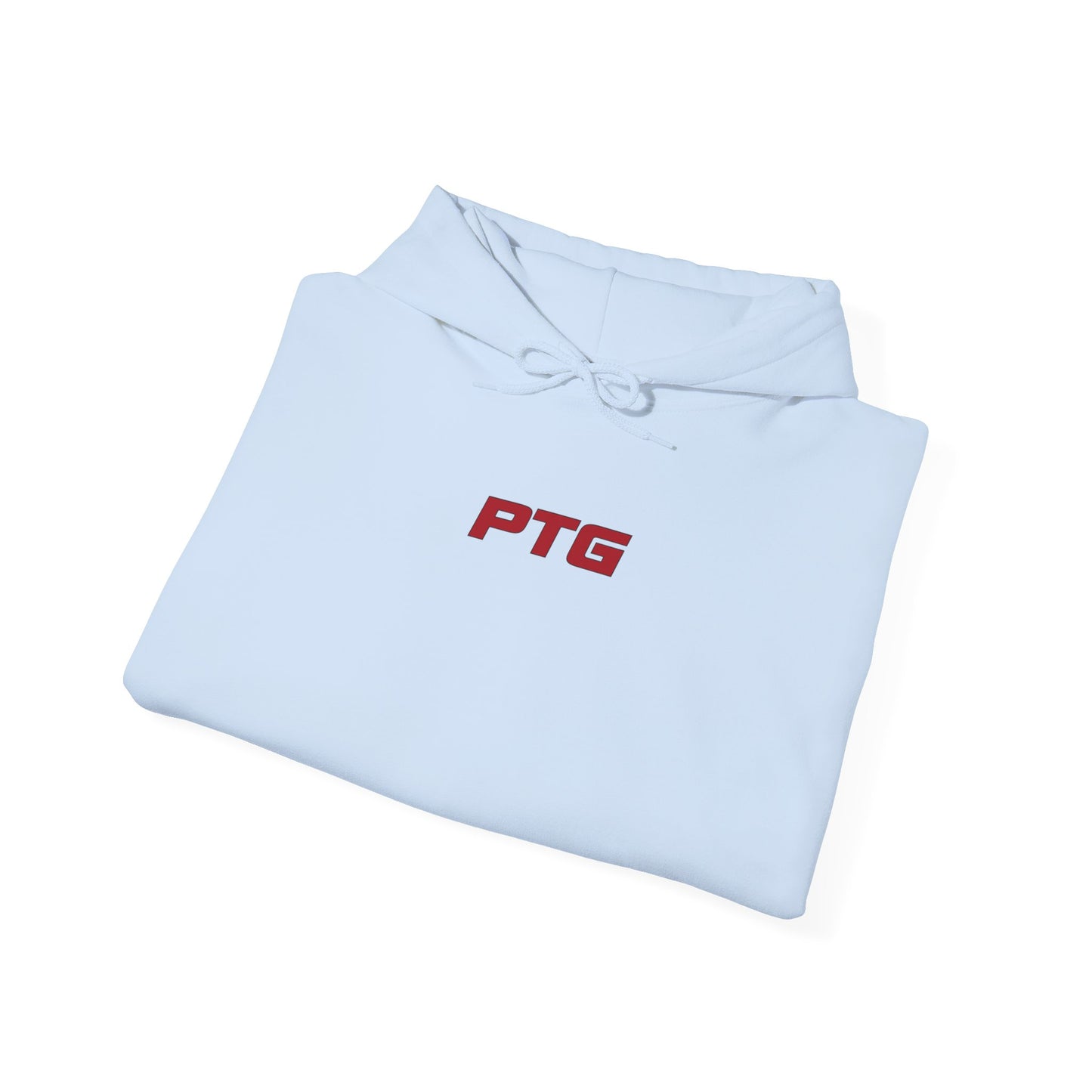 Team PTG E46 Hoodie