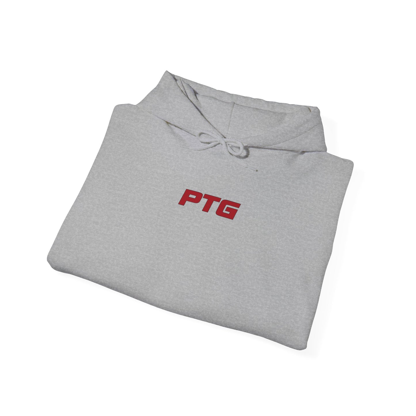 Team PTG E46 Hoodie