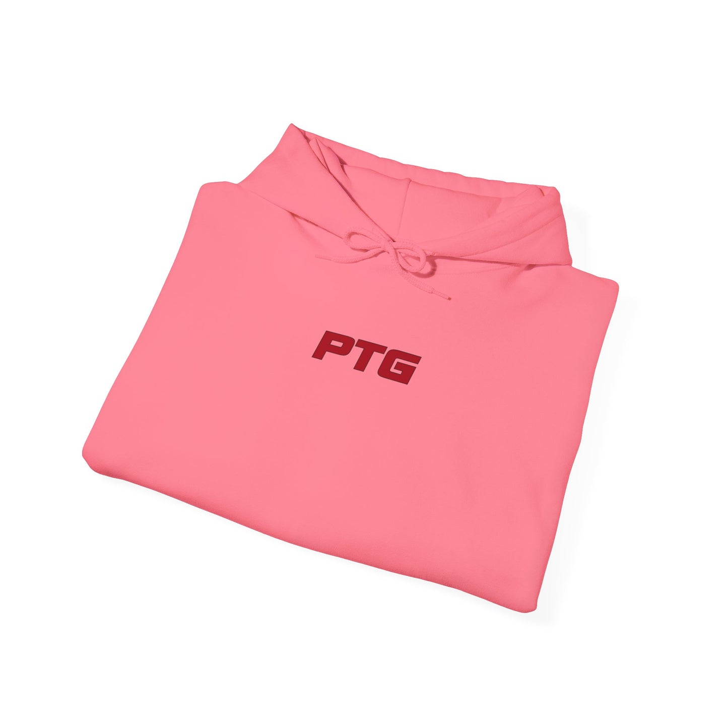 Team PTG E36 Hoodie